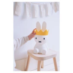 Mr. Maria Mr Maria Kroon -Babyproducten Winkel image 28984