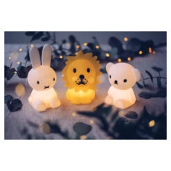 Mr. Maria Mr Maria Lion Bundle Of Light -Babyproducten Winkel image 29834