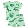 Feetje Pyjama Chris Croc Premium -Babyproducten Winkel image 32381