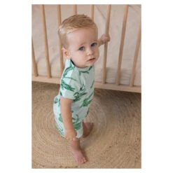 Feetje Pyjama Chris Croc Premium -Babyproducten Winkel image 32383