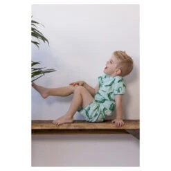 Feetje Pyjama Chris Croc Premium -Babyproducten Winkel image 32386