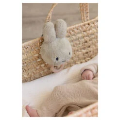 TiAmo Nijntje Muziekdoosje Fluffy Green 7 TiAmo Nijntje Muziekdoosje Fluffy Green -Babyproducten Winkel image 33028