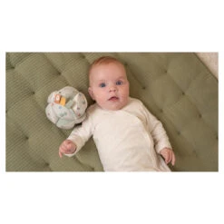 Little Dutch Speelball Little Farm -Babyproducten Winkel image 33923