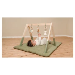 Little Dutch Babygym Little Farm -Babyproducten Winkel image 34003