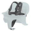 Cybex Lemo Harness -Babyproducten Winkel image 36891