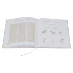 Little Dutch Babyboek "Mijn Eerste Jaar" Baby Bunny -Babyproducten Winkel image 37256