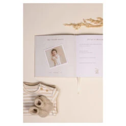 Little Dutch Babyboek "Mijn Eerste Jaar" Baby Bunny -Babyproducten Winkel image 37259